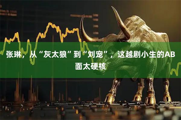 张琳，从“灰太狼”到“刘宠”，这越剧小生的AB面太硬核